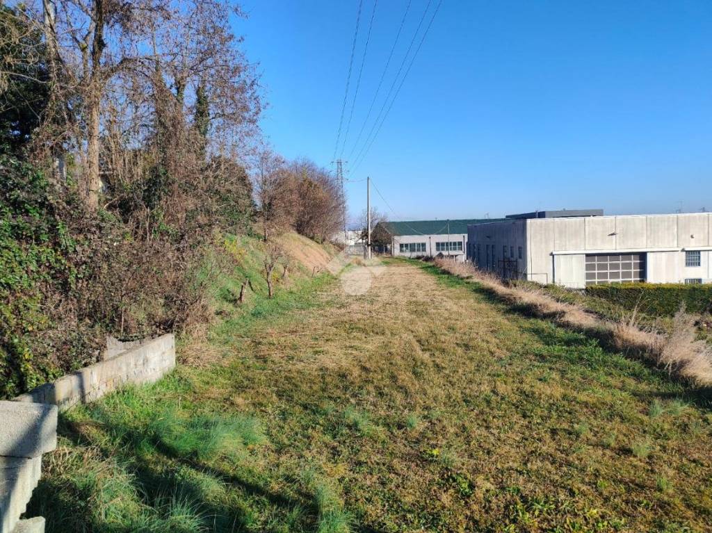 immagine annuncio 9 di 15