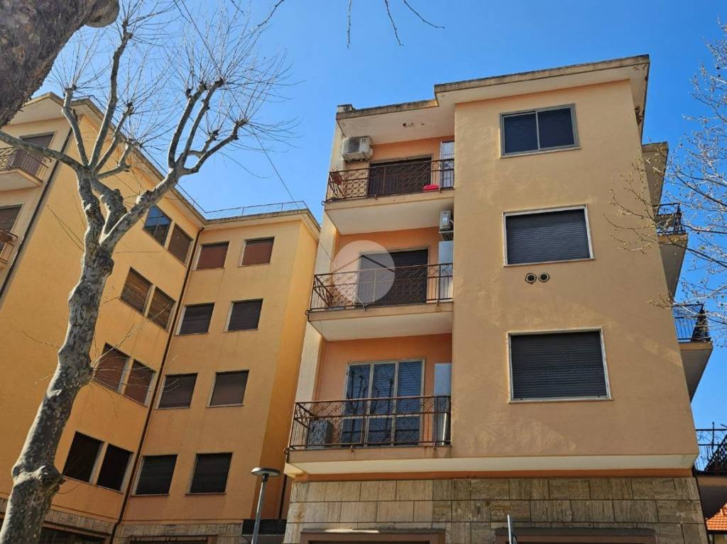 immagine annuncio 10 di 12