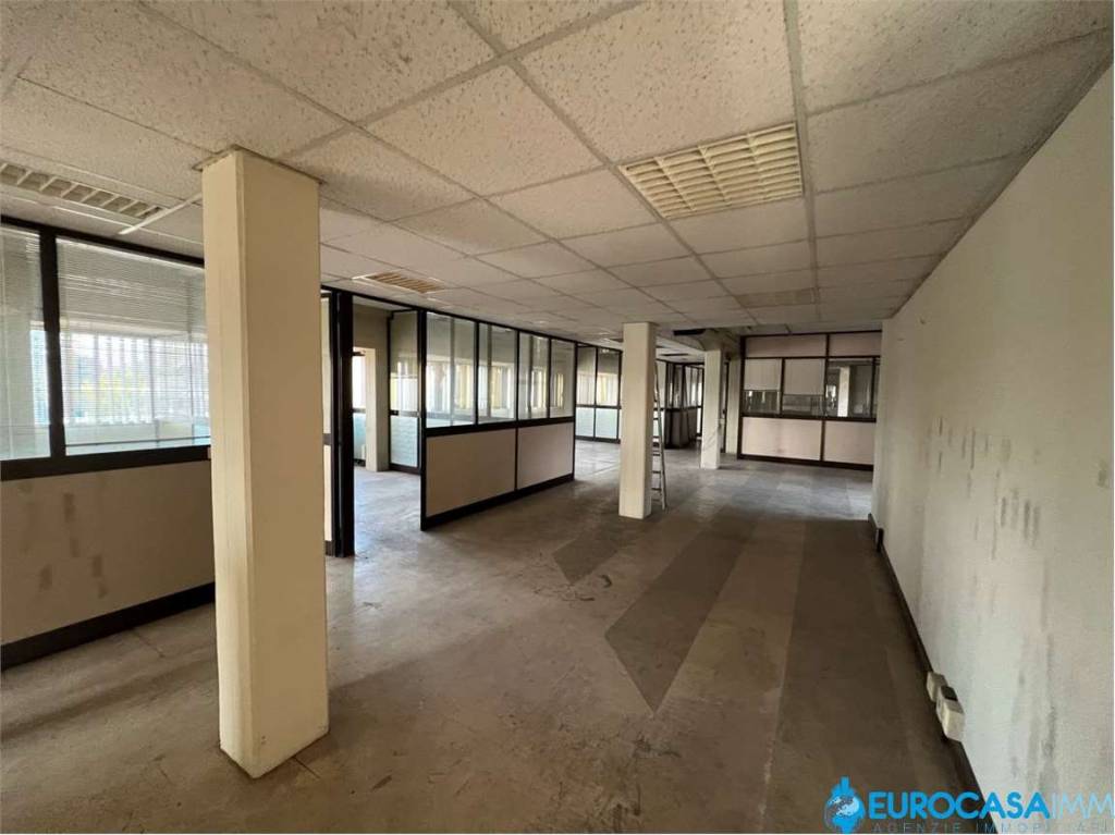 immagine annuncio 2 di 8