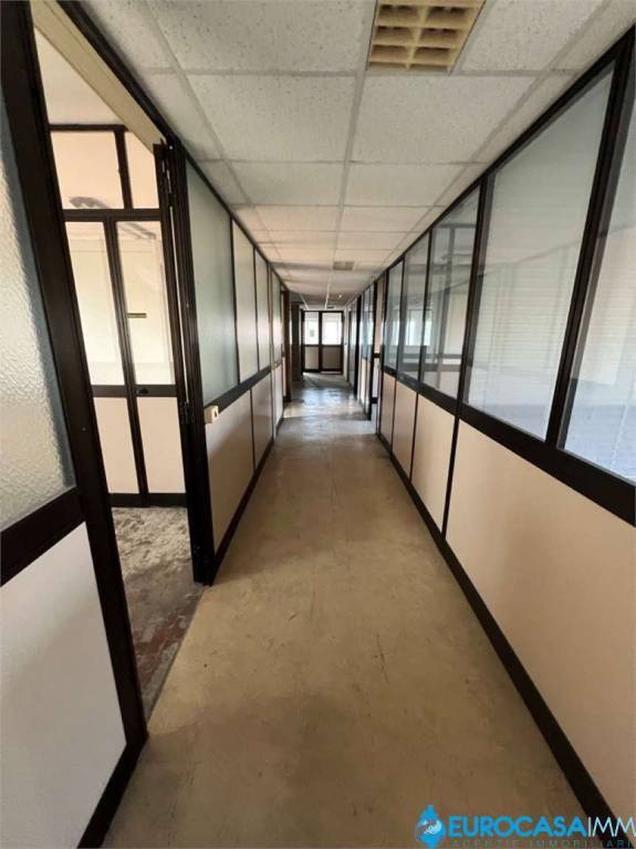 immagine annuncio 5 di 8