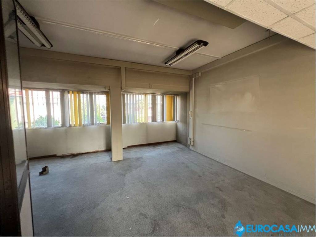 immagine annuncio 6 di 8