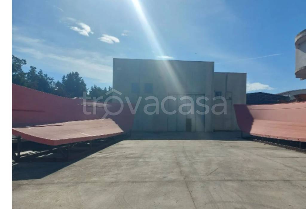 immagine annuncio 3 di 12