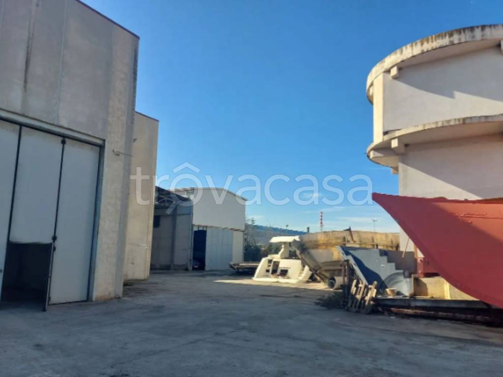 immagine annuncio 4 di 12