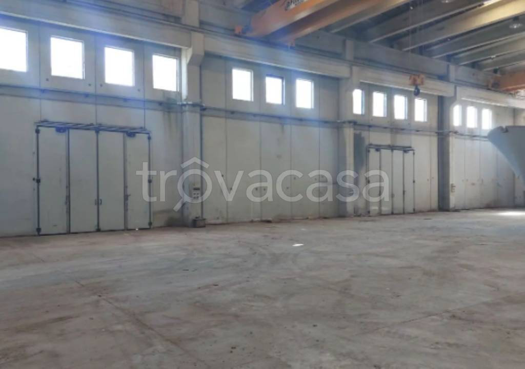 immagine annuncio 8 di 12