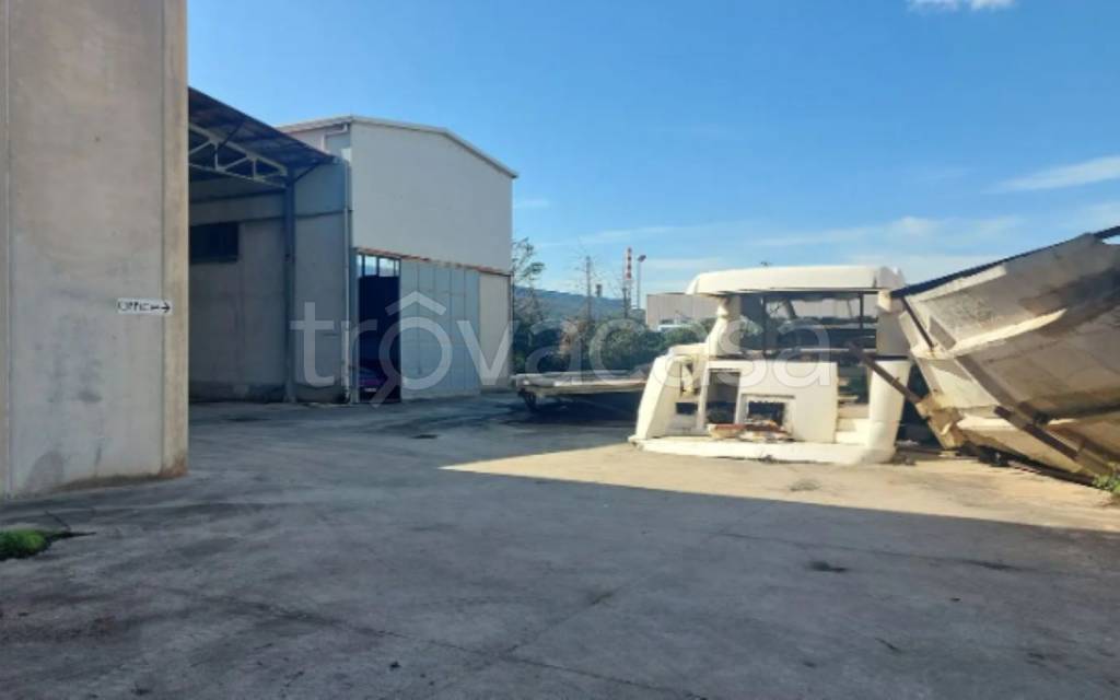 immagine annuncio 9 di 12