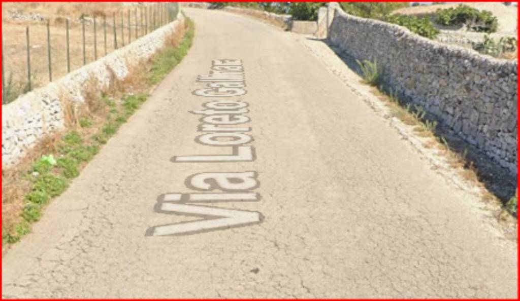 immagine annuncio 4 di 12