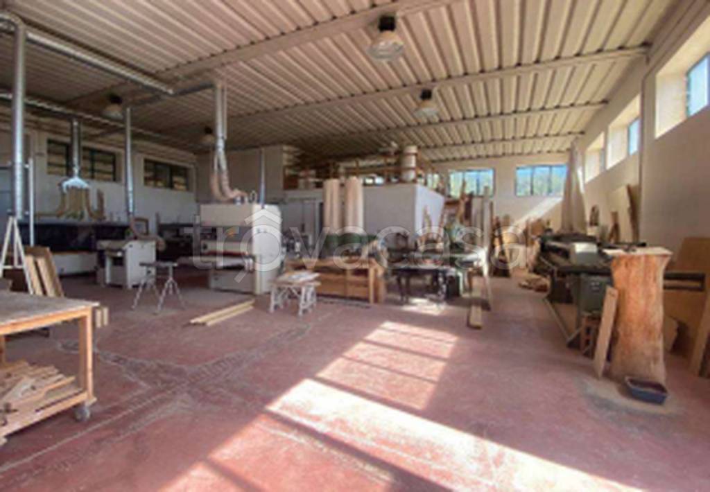 immagine annuncio 8 di 11