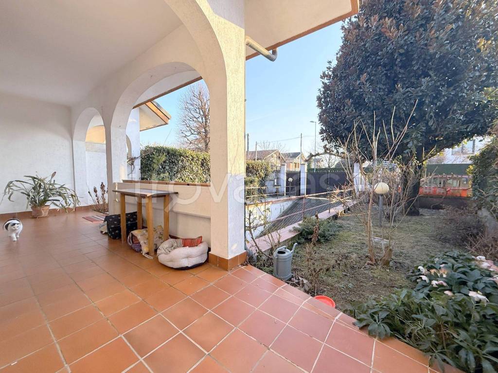 immagine annuncio 5 di 15