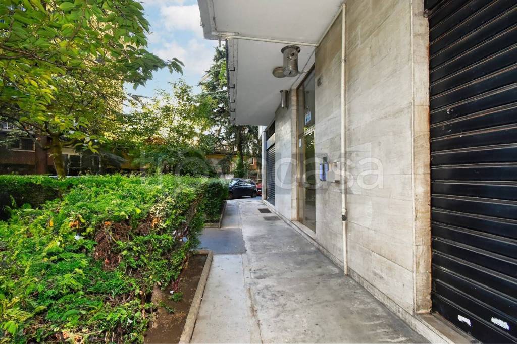 immagine annuncio 6 di 8