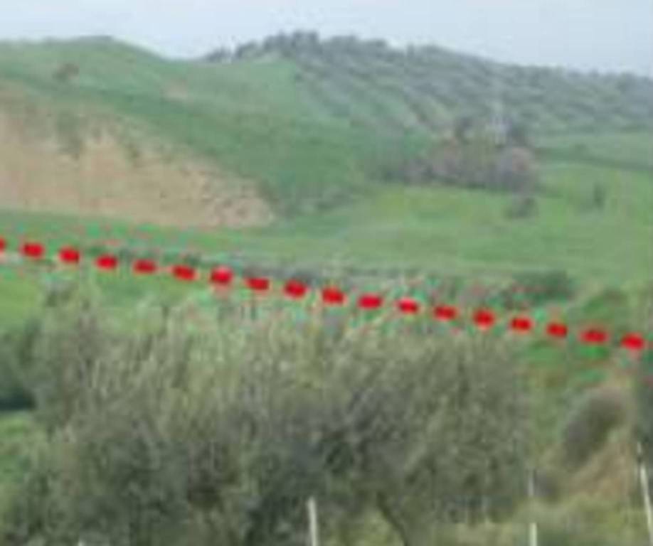 immagine annuncio 6 di 11