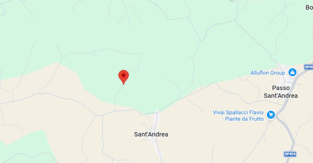 immagine annuncio 3 di 11