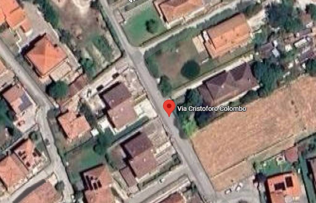 immagine annuncio 5 di 11