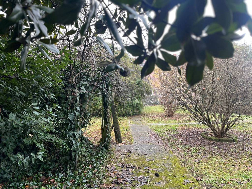 immagine annuncio 2 di 6