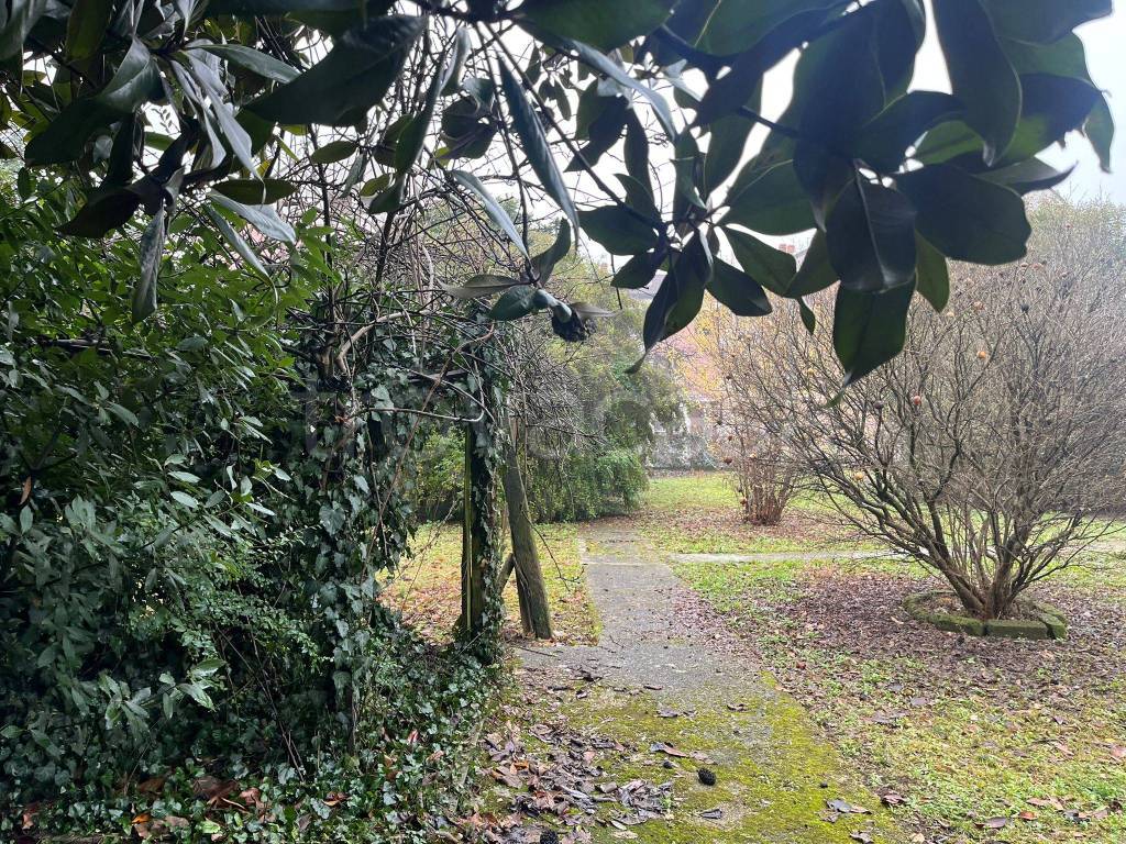 immagine annuncio 4 di 6