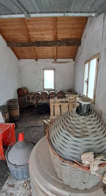 immagine annuncio 3 di 12