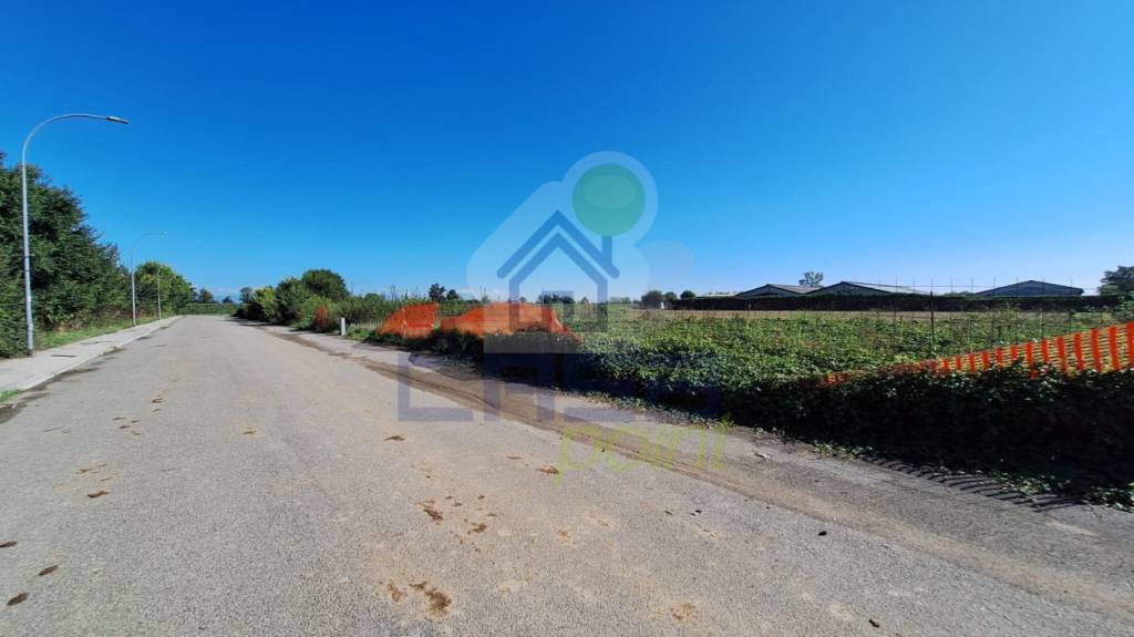 immagine annuncio 3 di 7