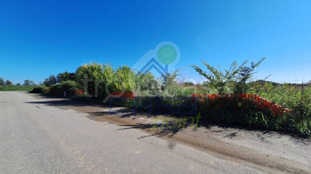 immagine annuncio 5 di 7