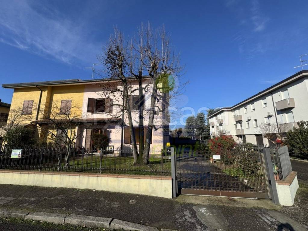 immagine annuncio 7 di 15