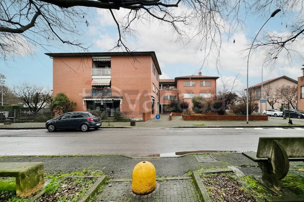 immagine annuncio 2 di 15