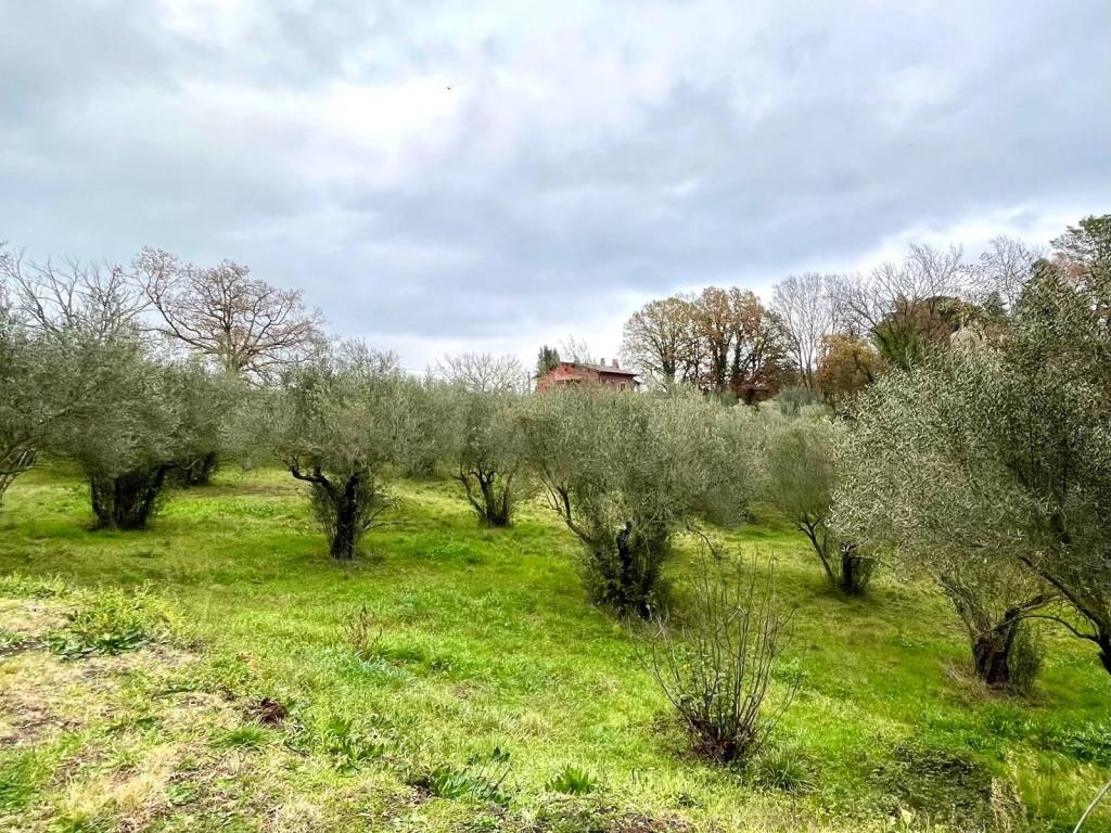 immagine annuncio 9 di 13