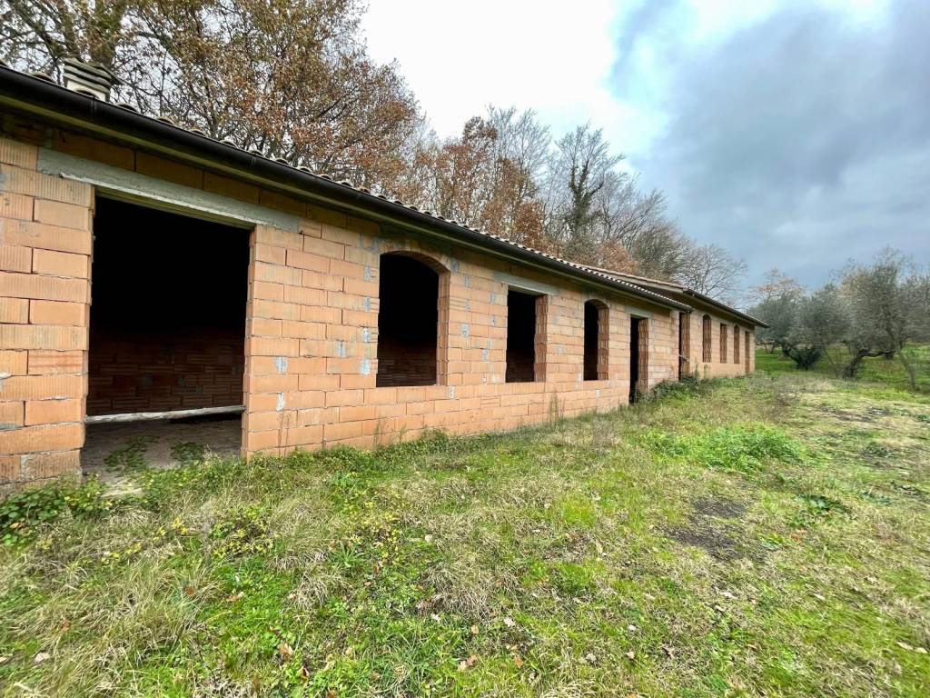 immagine annuncio 10 di 13