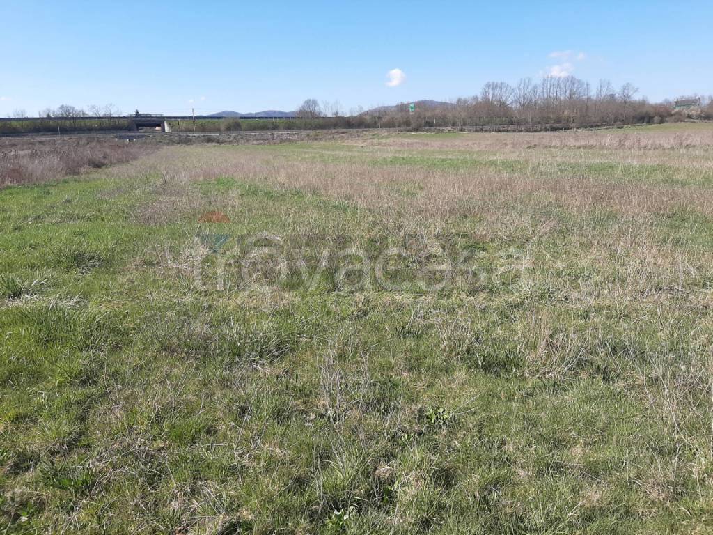 immagine annuncio 3 di 8