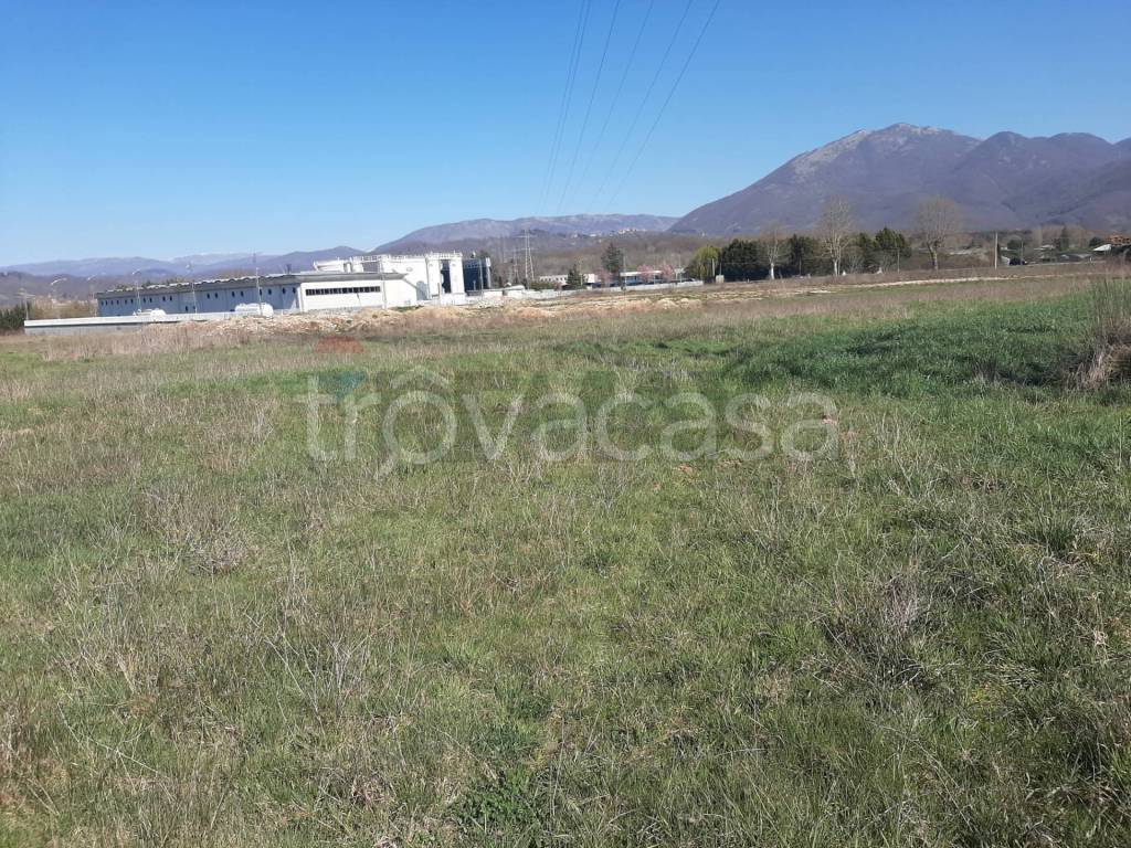 immagine annuncio 4 di 8