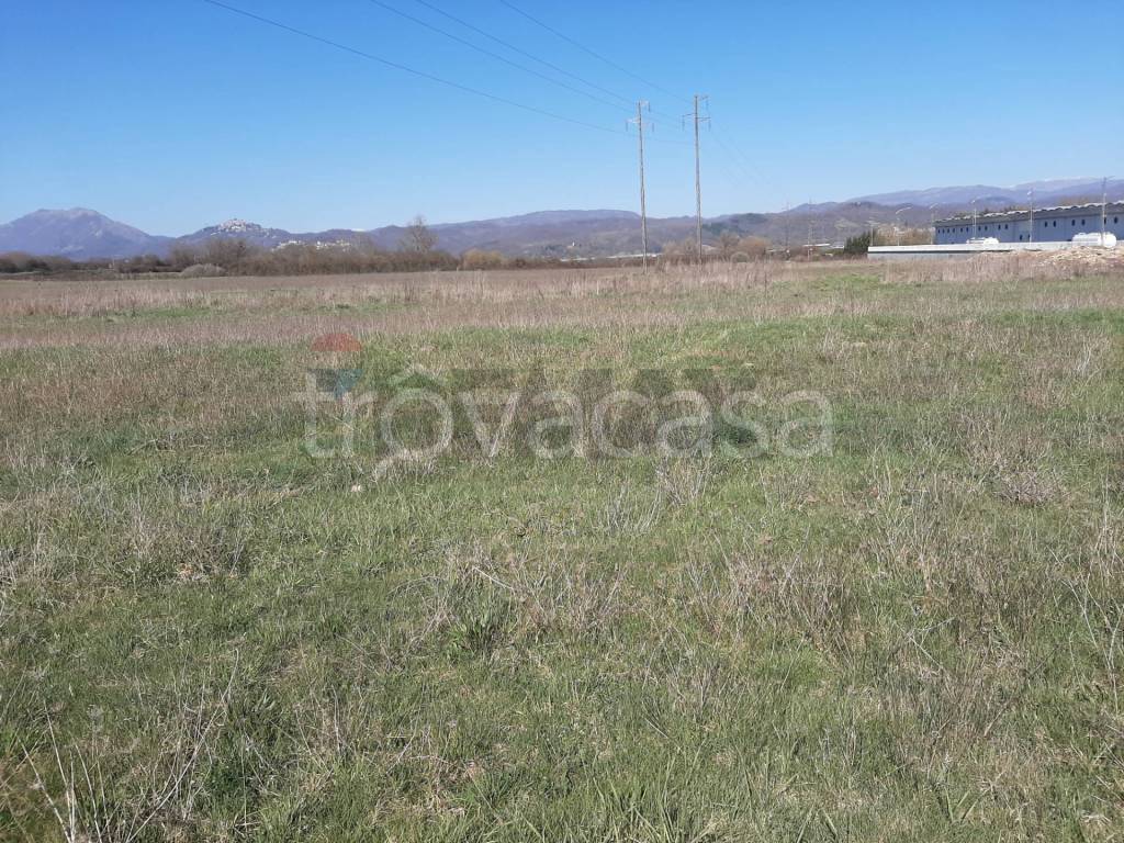 immagine annuncio 5 di 8