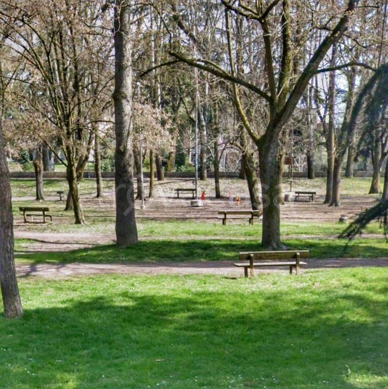 immagine annuncio 4 di 11