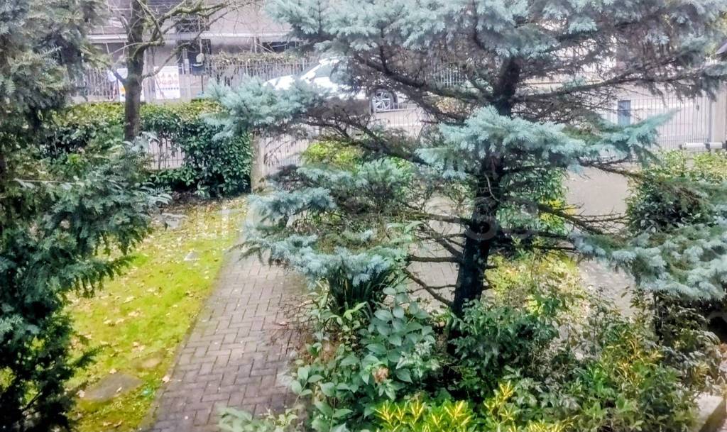 immagine annuncio 8 di 11