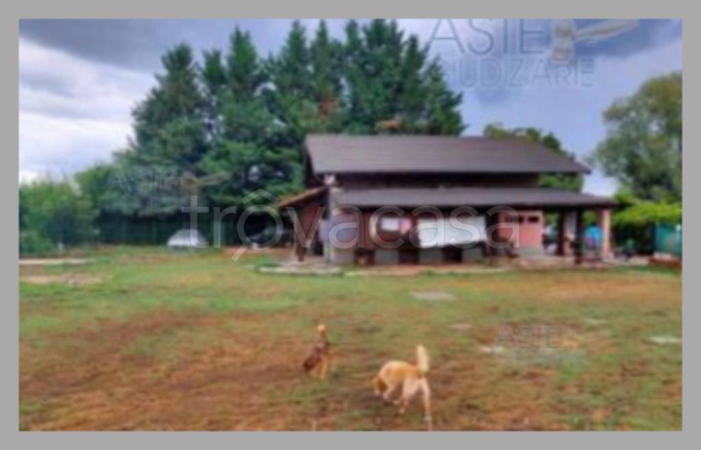 immagine annuncio 10 di 15