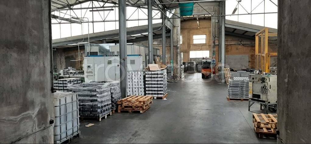 immagine annuncio 11 di 15