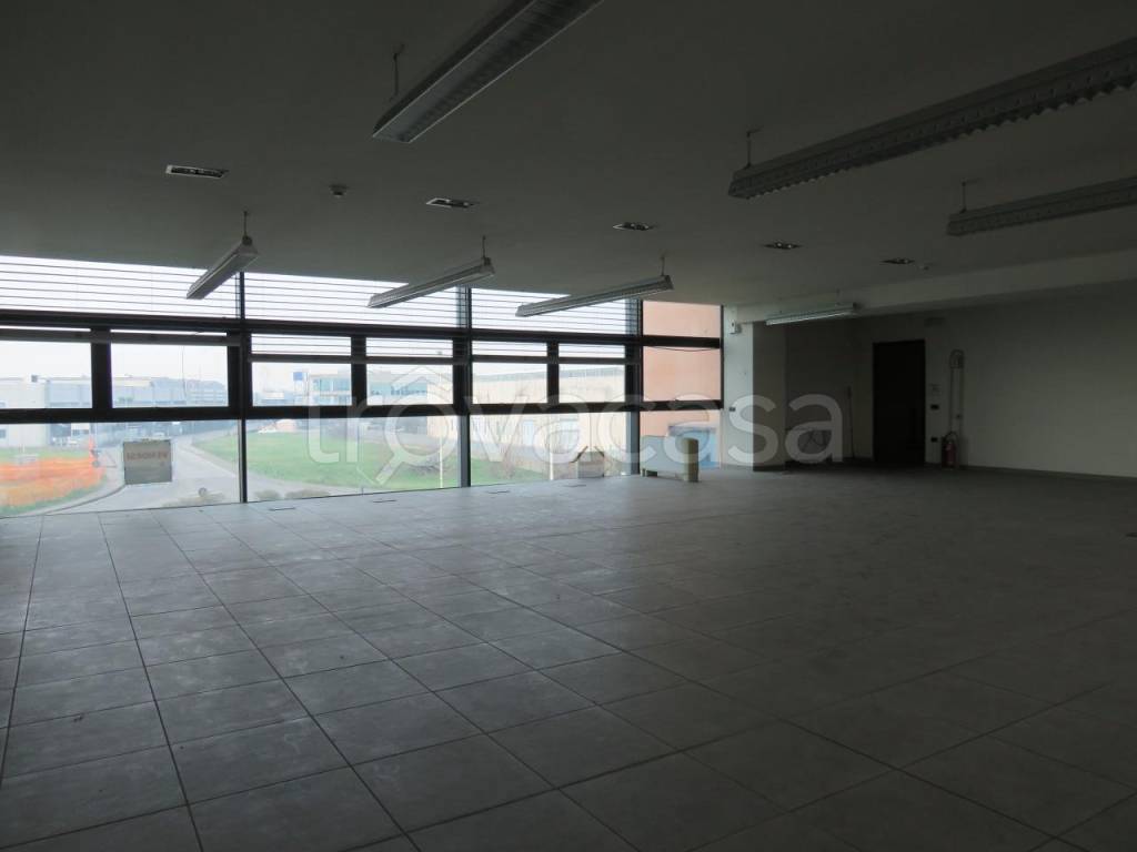 immagine annuncio 5 di 9