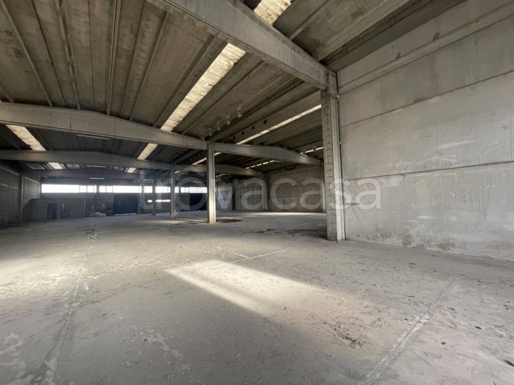 immagine annuncio 5 di 9