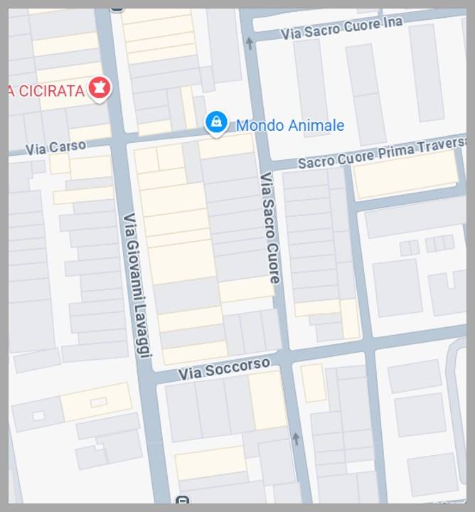 immagine annuncio 10 di 15