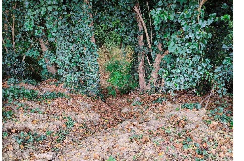 immagine annuncio 10 di 15