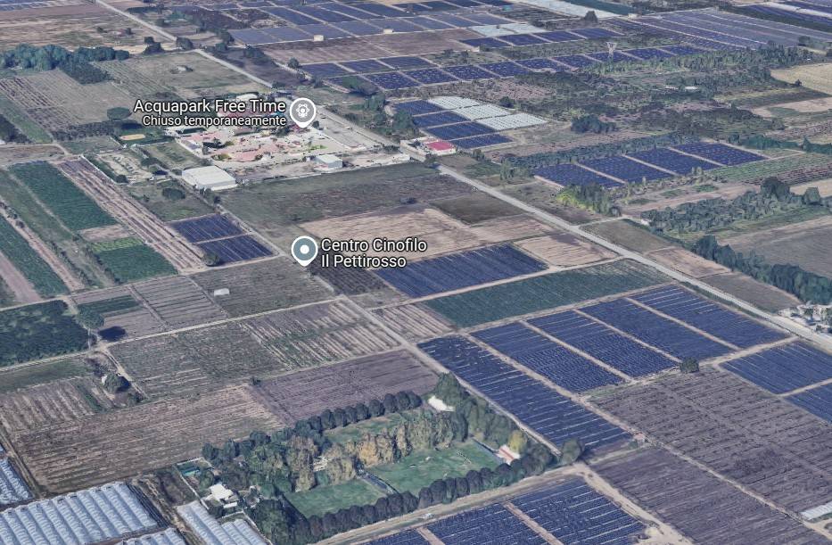 immagine annuncio 3 di 15