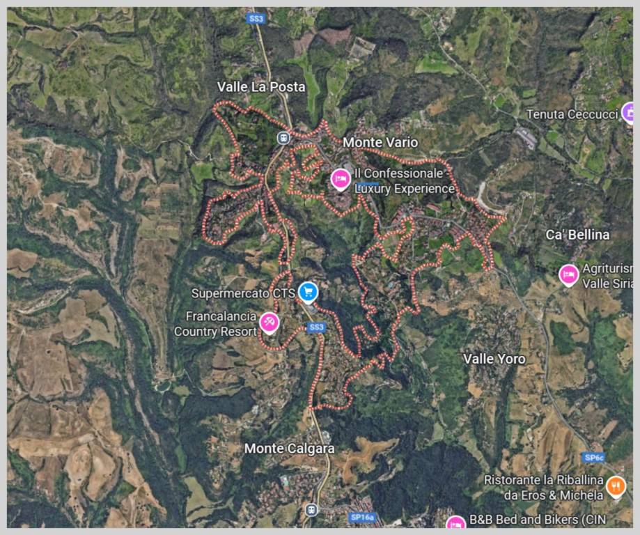 immagine annuncio 12 di 15