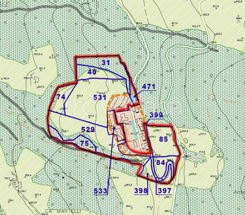 immagine annuncio 7 di 15