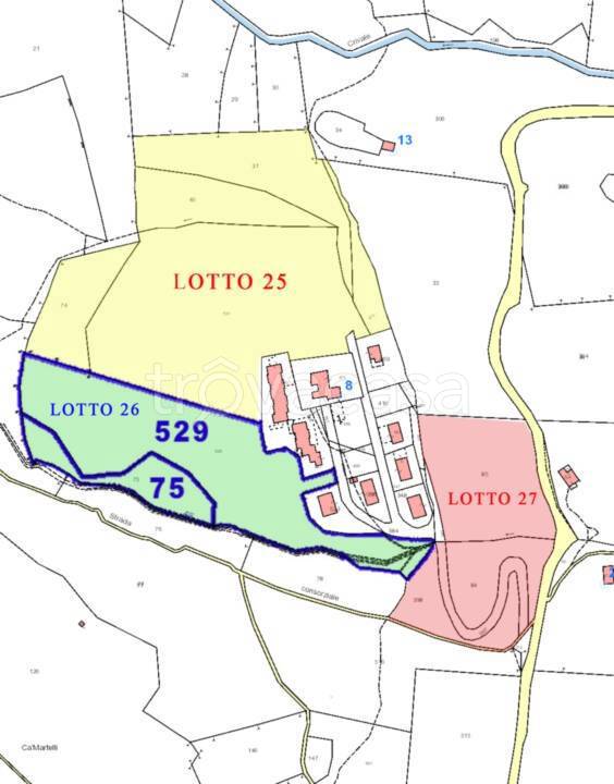 immagine annuncio 9 di 15