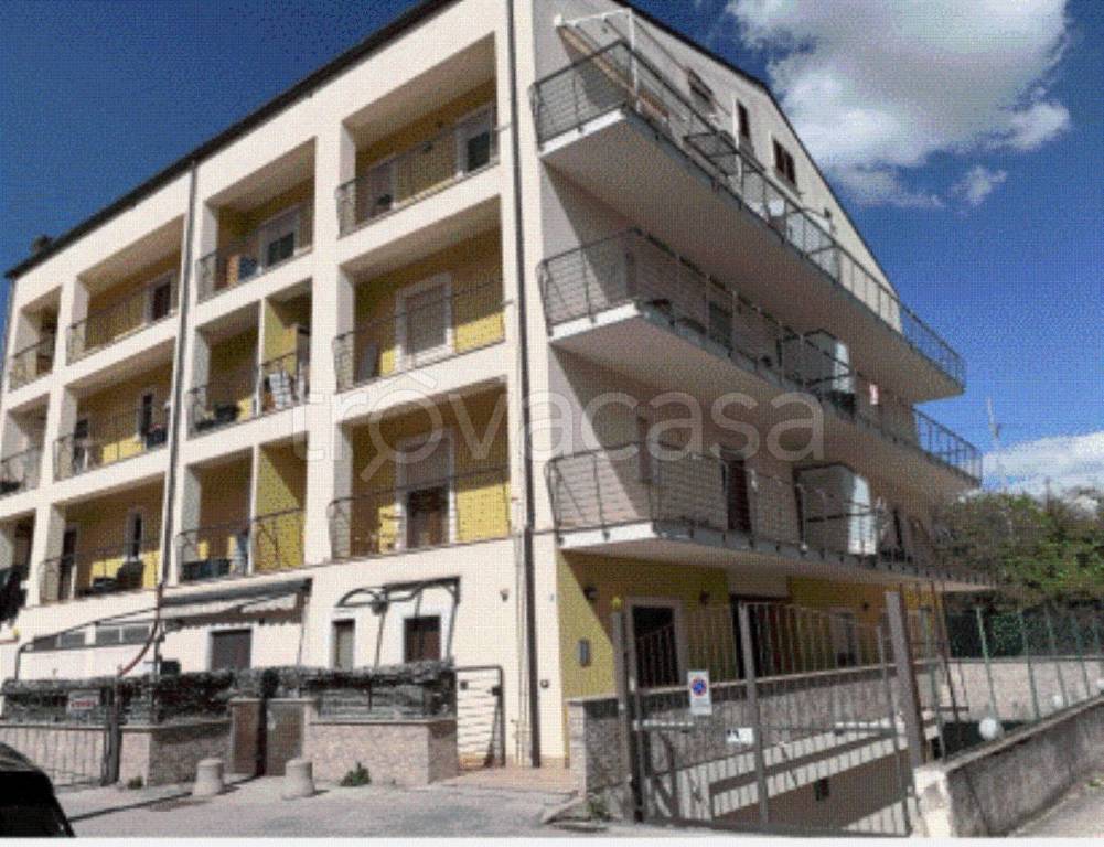 immagine annuncio 10 di 11