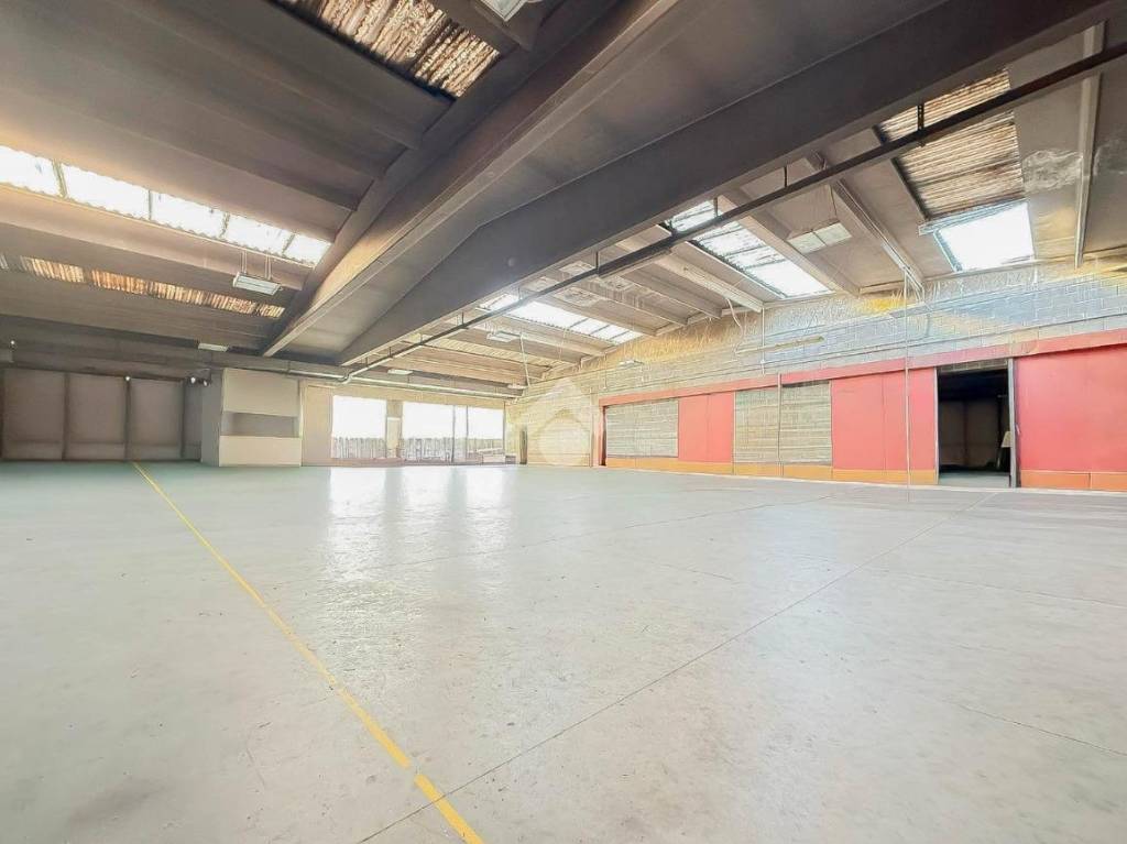 immagine annuncio 14 di 15