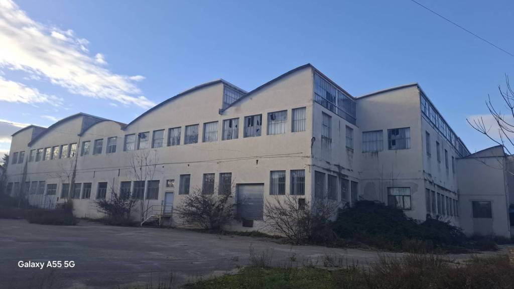 immagine annuncio 1 di 12