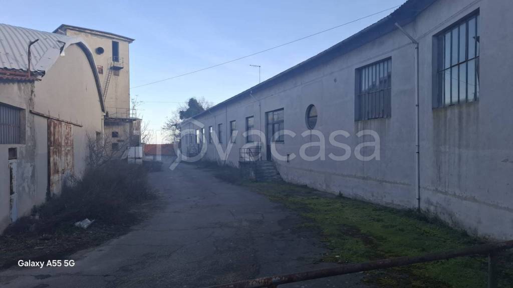 immagine annuncio 4 di 12