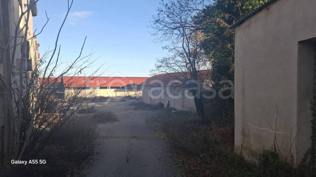 immagine annuncio 5 di 12