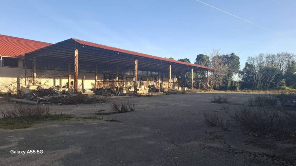 immagine annuncio 7 di 12