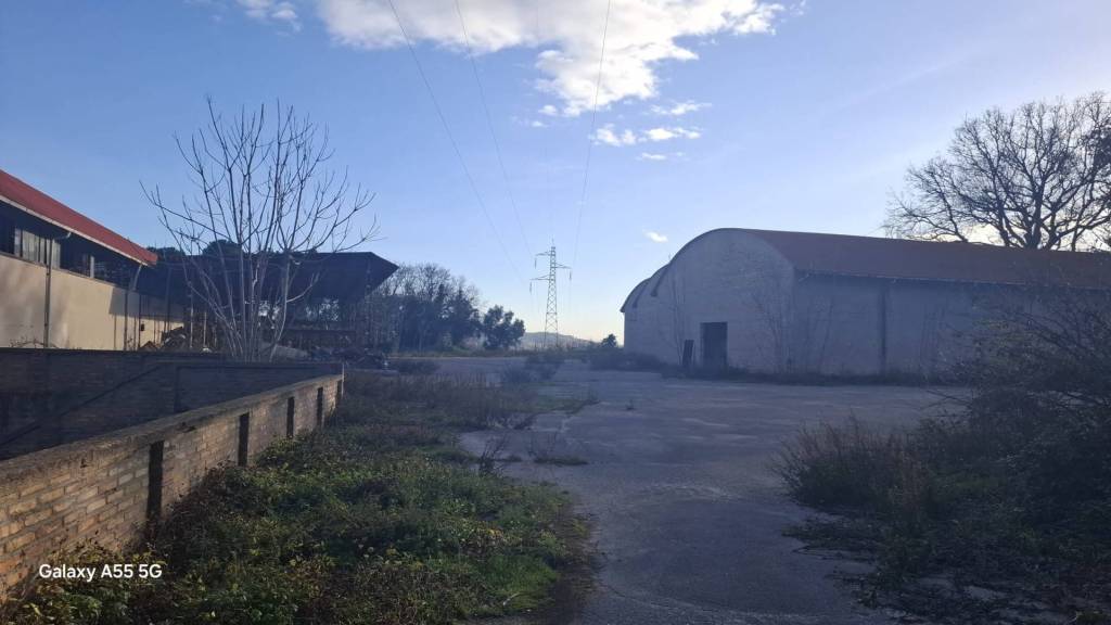 immagine annuncio 6 di 12