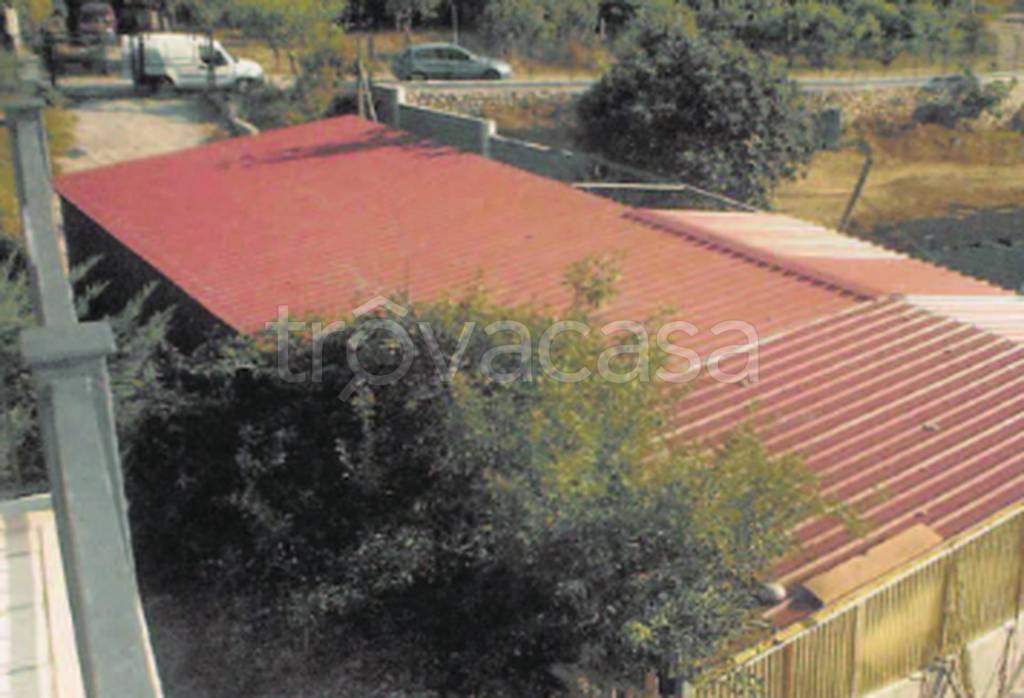 immagine annuncio 12 di 13