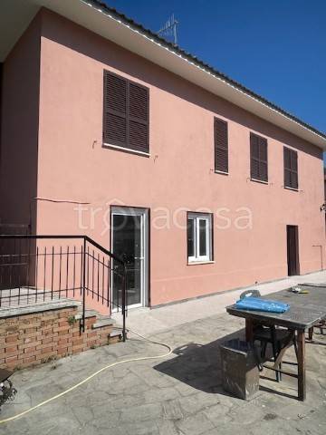 immagine annuncio 2 di 12