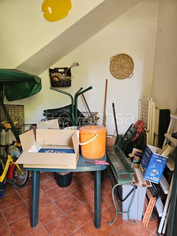 immagine annuncio 12 di 14